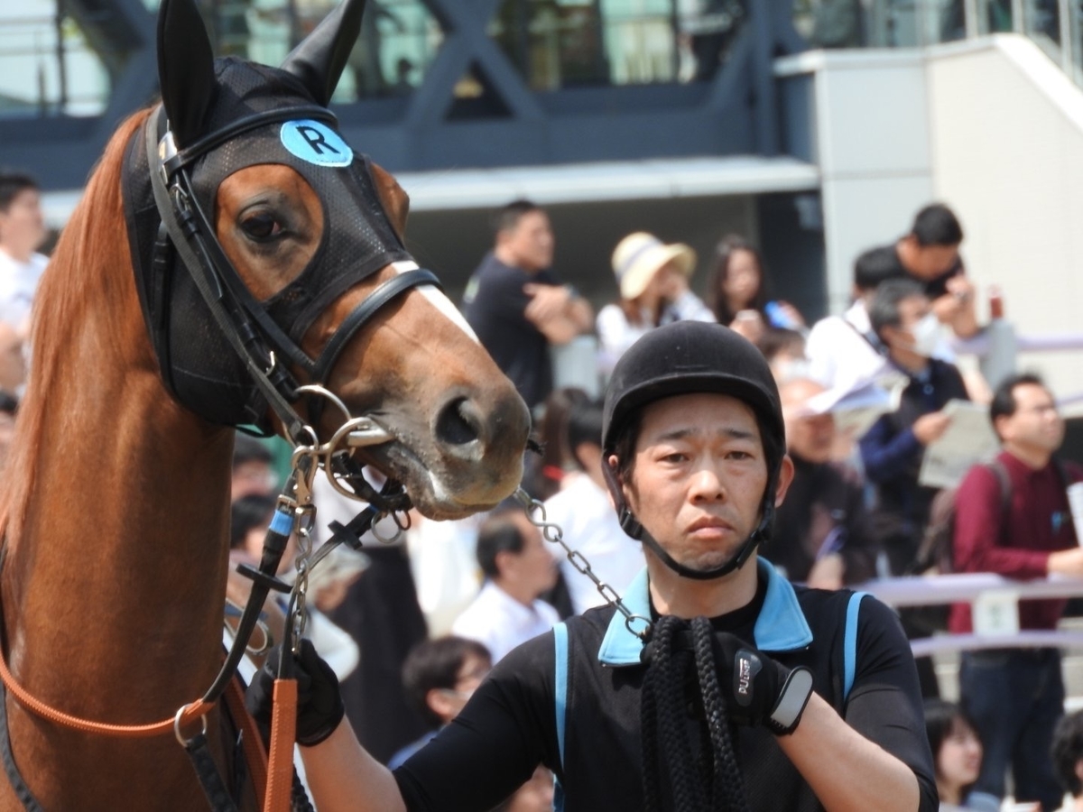 f:id:yutaro2050016:20190812200954j:plain