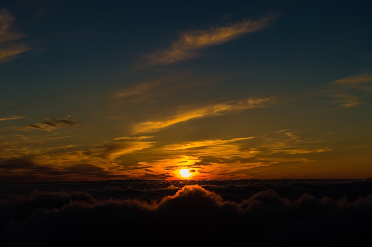f:id:yutaro2050016:20191121225450j:plain