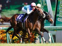 f:id:yutaro2050016:20200510125641j:plain
