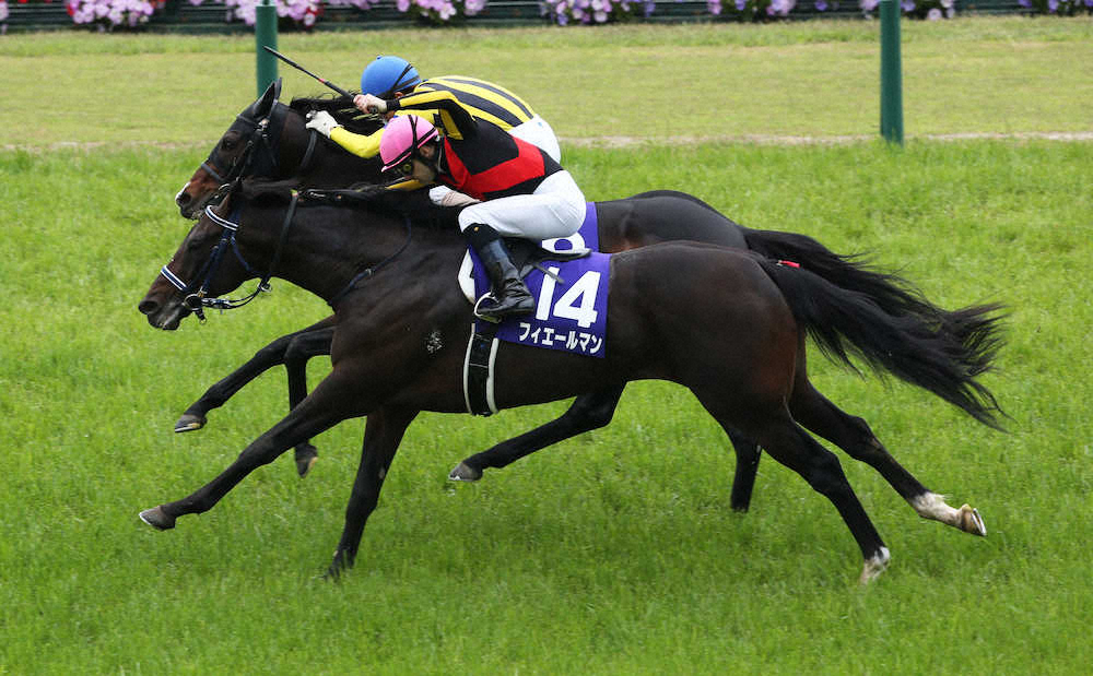 競馬初心者必見 馬券予想 天皇賞春 春のステイヤーg1を制覇するのは ハムスターブログ ハムハムしながら競馬と株を嗜む