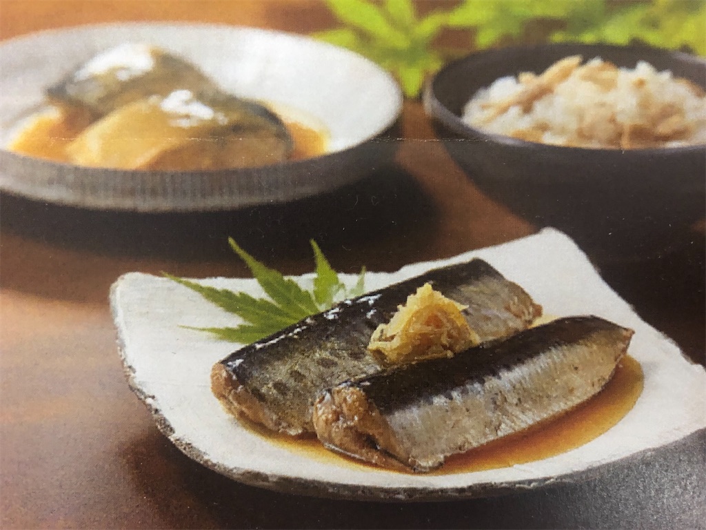 f:id:yutarojairo:20200503131950j:image