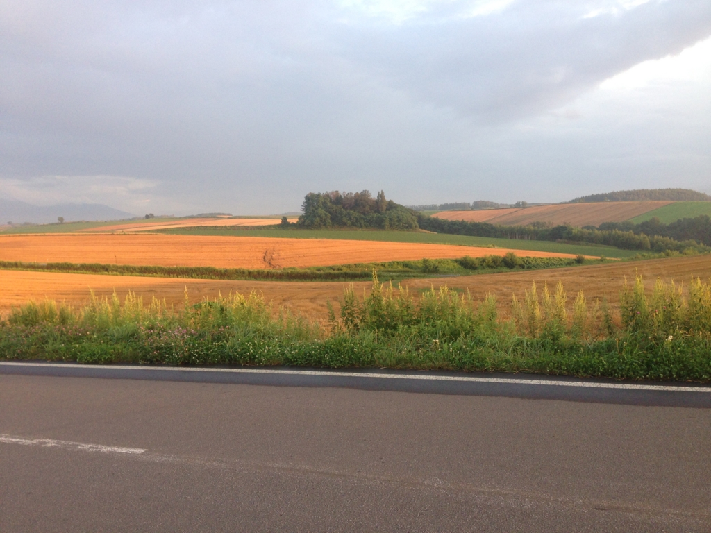 f:id:yutastation:20150817102444j:plain