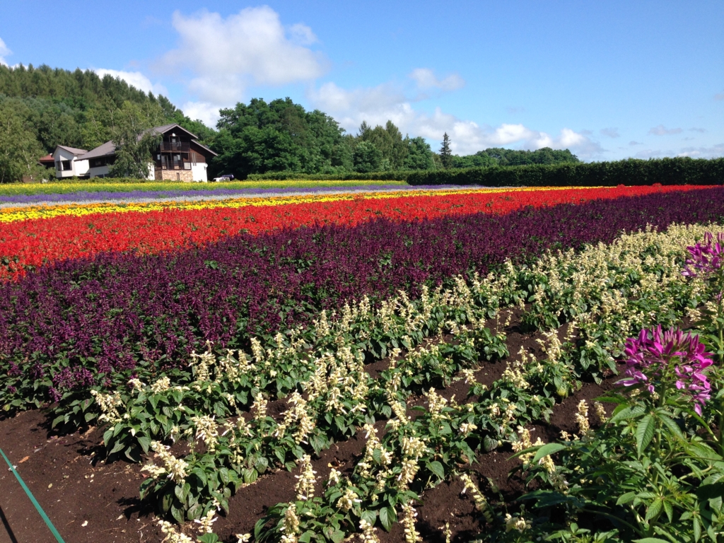 f:id:yutastation:20150817102543j:plain