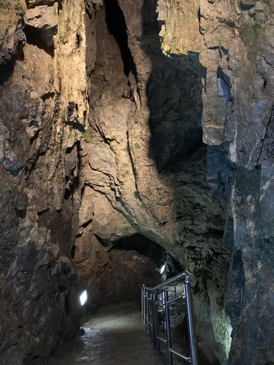f:id:yutastation:20190515224712j:plain f:id:yutastation:20190515224712j:plain