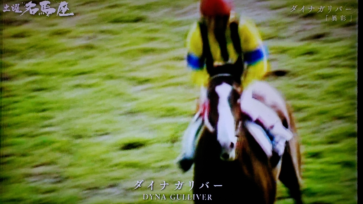 ダイナガリバー