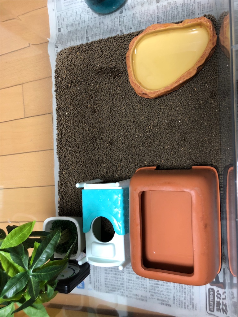 f:id:yuto18m:20190522150516j:image f:id:yuto18m:20190522150516j:image