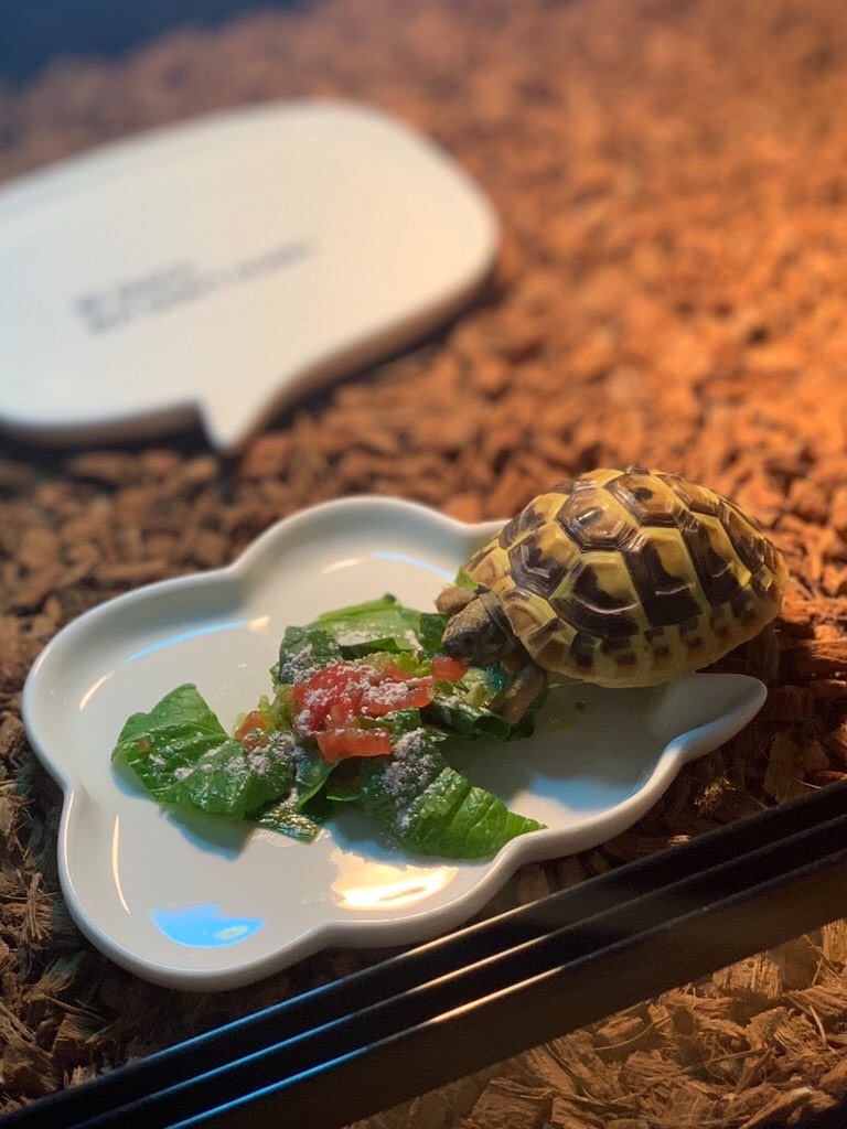 f:id:yuto18m:20190827200850j:image f:id:yuto18m:20190827200850j:image