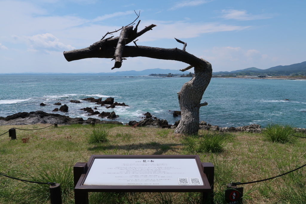 f:id:yutochiba:20180509131059j:plain f:id:yutochiba:20180509131059j:plain