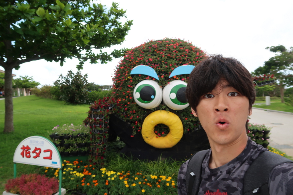 f:id:yutochiba:20180610083357j:plain f:id:yutochiba:20180610083357j:plain