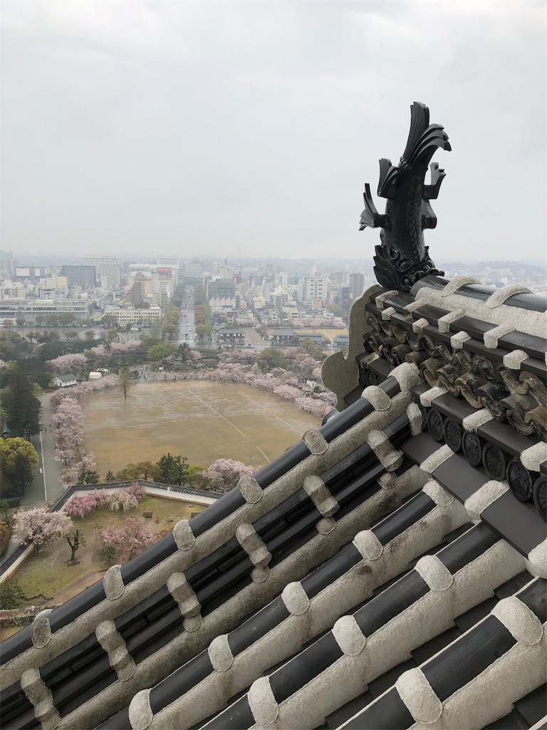 f:id:yutogogogo:20190414162441j:image f:id:yutogogogo:20190414162441j:image