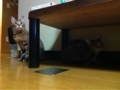 20101226024634