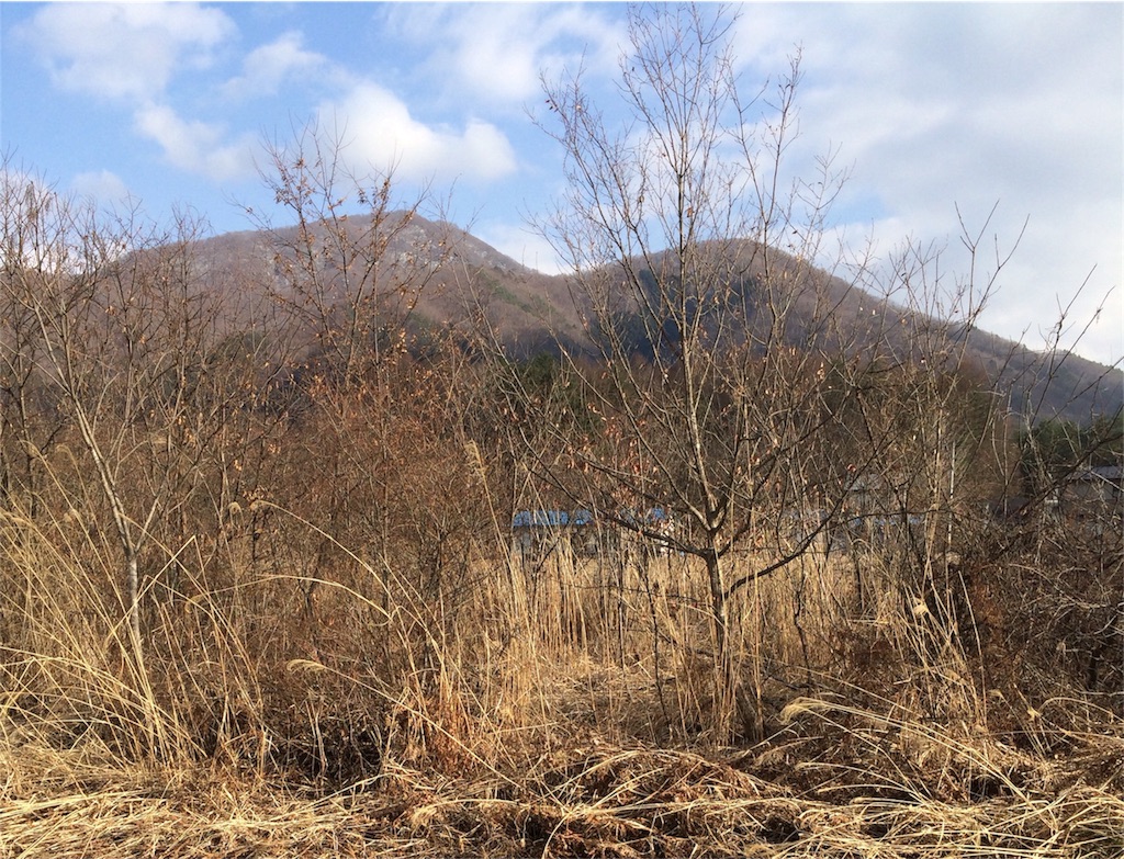 f:id:yutoma233:20160320161324j:image f:id:yutoma233:20160320161324j:image