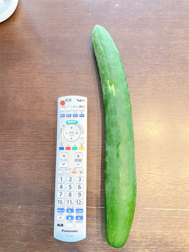 f:id:yutoma233:20240827133808j:image