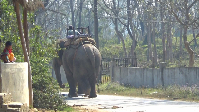 f:id:yutonsmaile:20180411133529p:plain