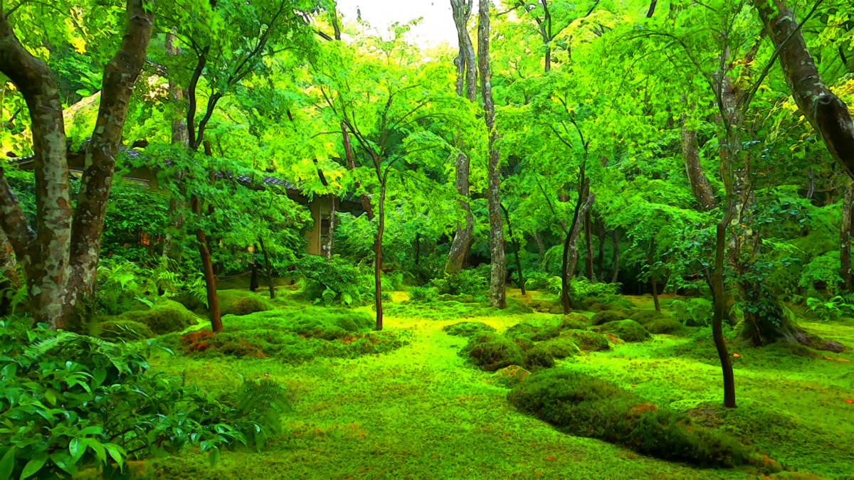 祇王寺(京都府) - yuto's memory