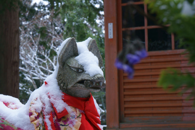 f:id:yutonyan:20121221085030j:image