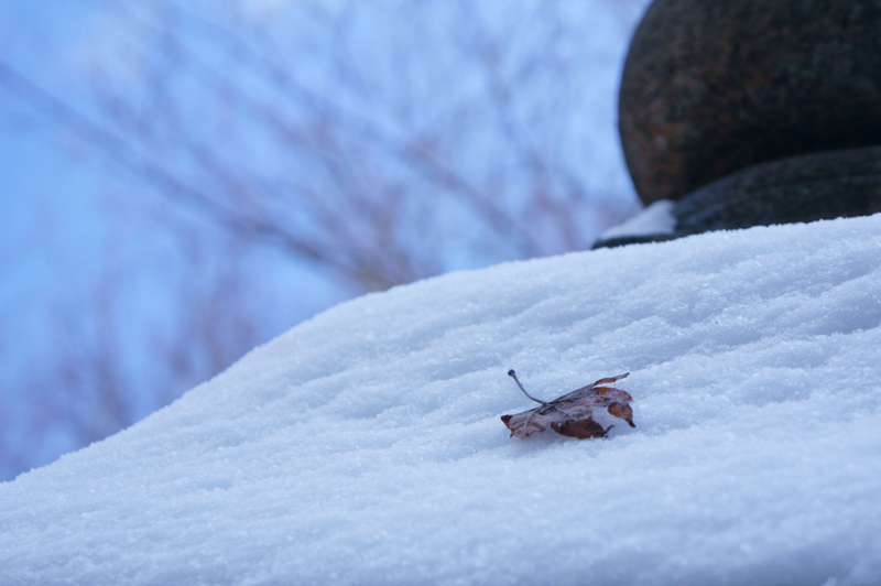 f:id:yutonyan:20121221085033j:image