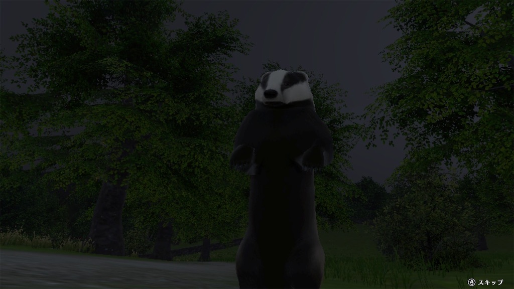 f:id:yutorinau:20230518202151j:image f:id:yutorinau:20230518202151j:image