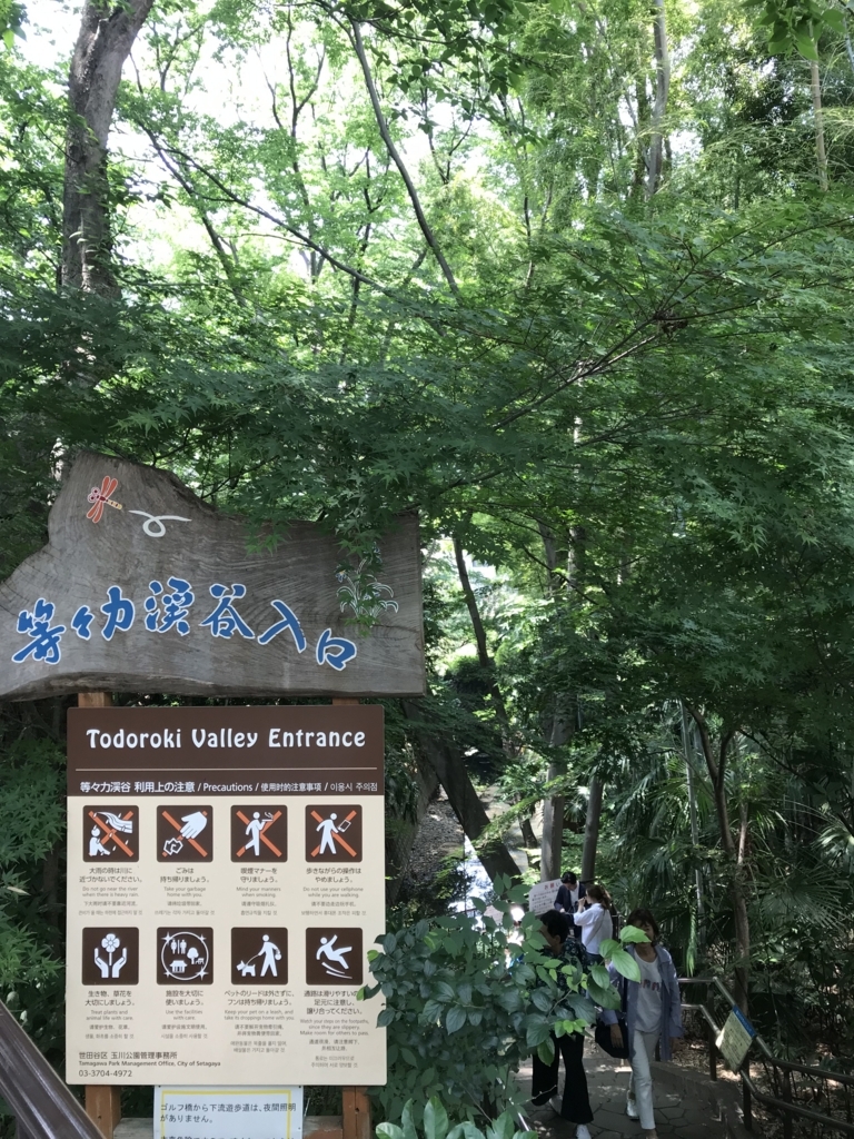 f:id:yutorinomoushigo:20180606184700j:plain f:id:yutorinomoushigo:20180606184700j:plain