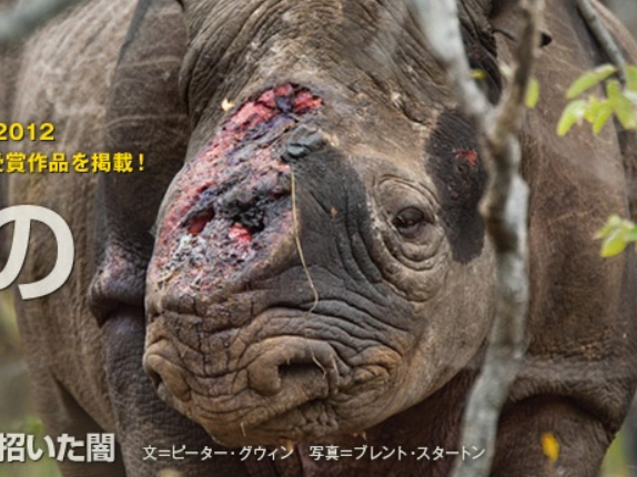 f:id:yutorisedainohoshi:20190407145334p:plain f:id:yutorisedainohoshi:20190407145334p:plain