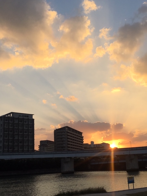 f:id:yutorogikun:20190103001019j:plain f:id:yutorogikun:20190103001019j:plain