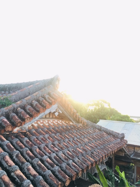 f:id:yutorogikun:20190103134043j:plain f:id:yutorogikun:20190103134043j:plain