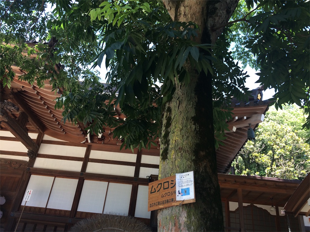 f:id:yutosuna:20180629205140j:image f:id:yutosuna:20180629205140j:image