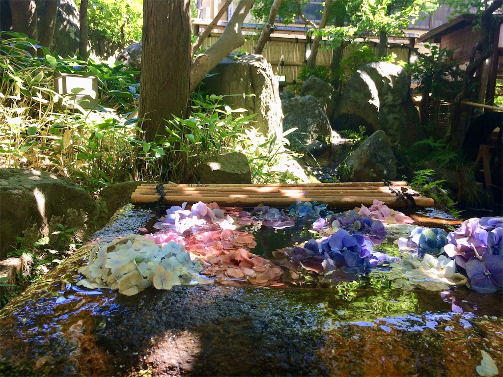f:id:yutosuna:20180629205216j:image f:id:yutosuna:20180629205216j:image