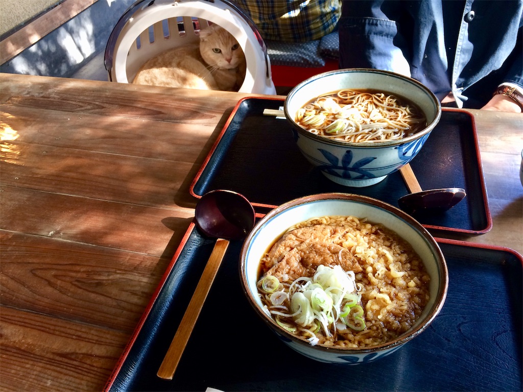 f:id:yutosuna:20181111125937j:image