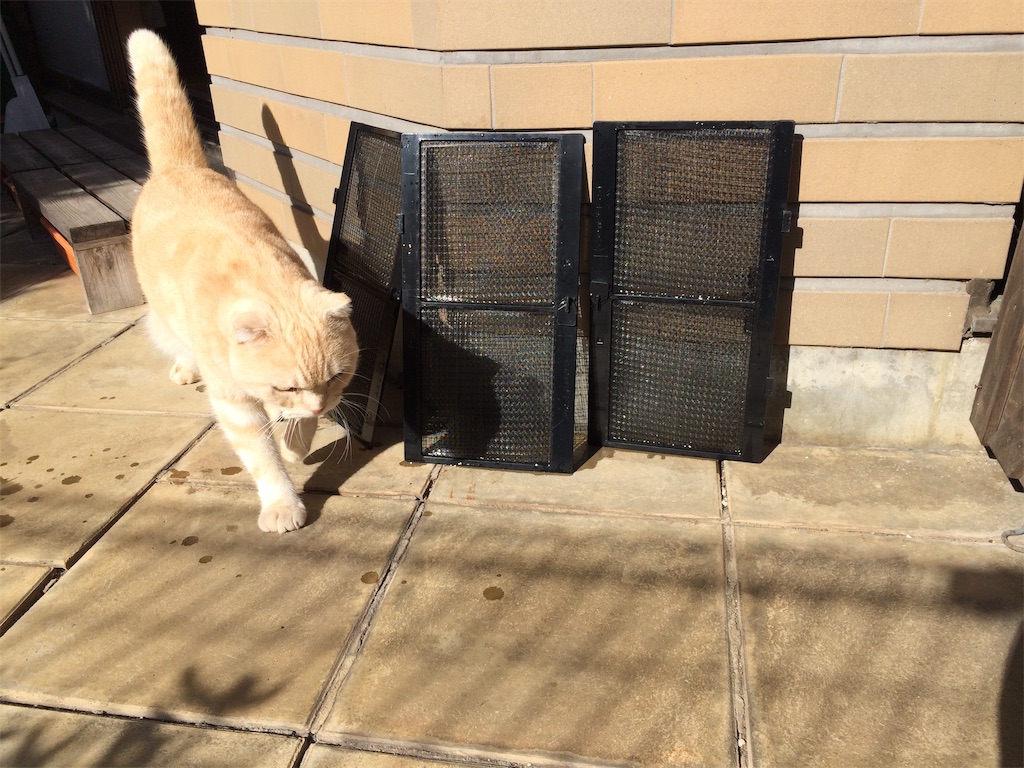 f:id:yutosuna:20181118202342j:image