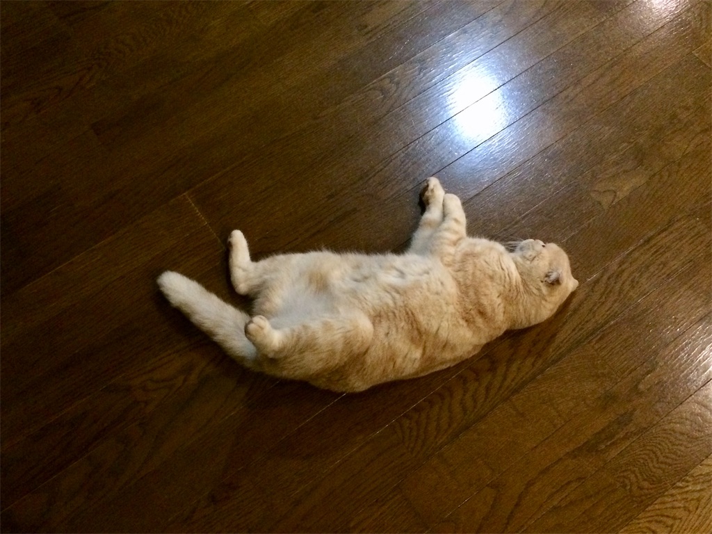 f:id:yutosuna:20190608214421j:image f:id:yutosuna:20190608214421j:image