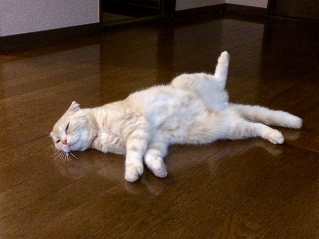 f:id:yutosuna:20190608214452j:image f:id:yutosuna:20190608214452j:image
