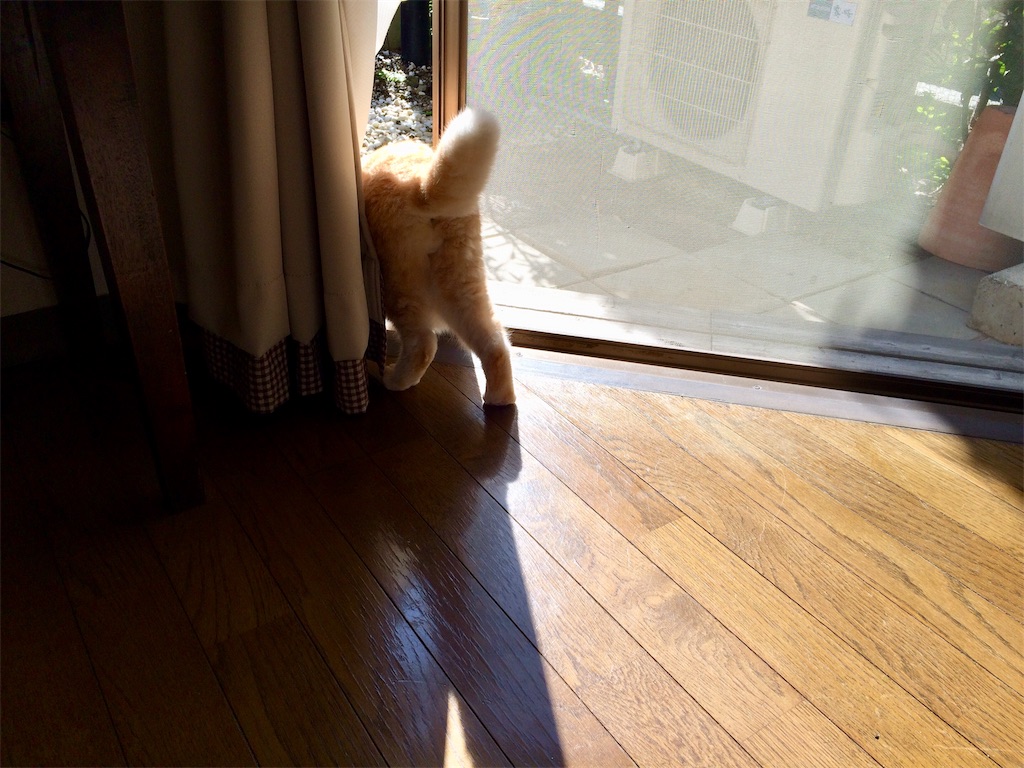 f:id:yutosuna:20191106083736j:image f:id:yutosuna:20191106083736j:image