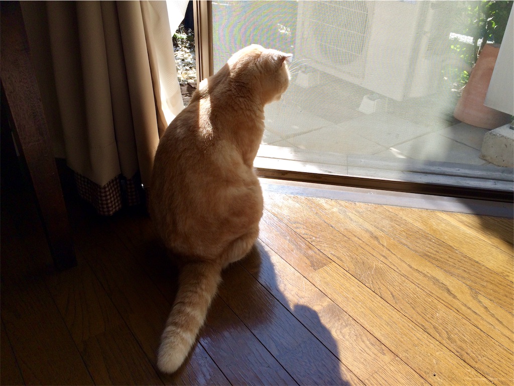 f:id:yutosuna:20191106083804j:image f:id:yutosuna:20191106083804j:image