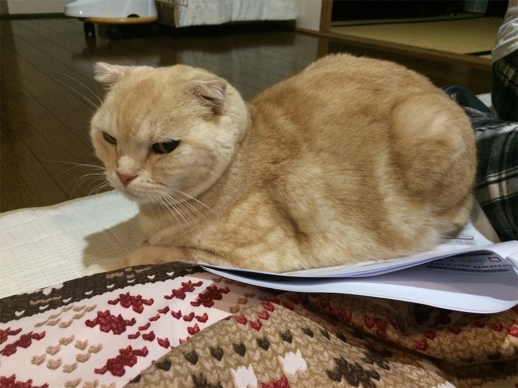 f:id:yutosuna:20191216054942j:image f:id:yutosuna:20191216054942j:image