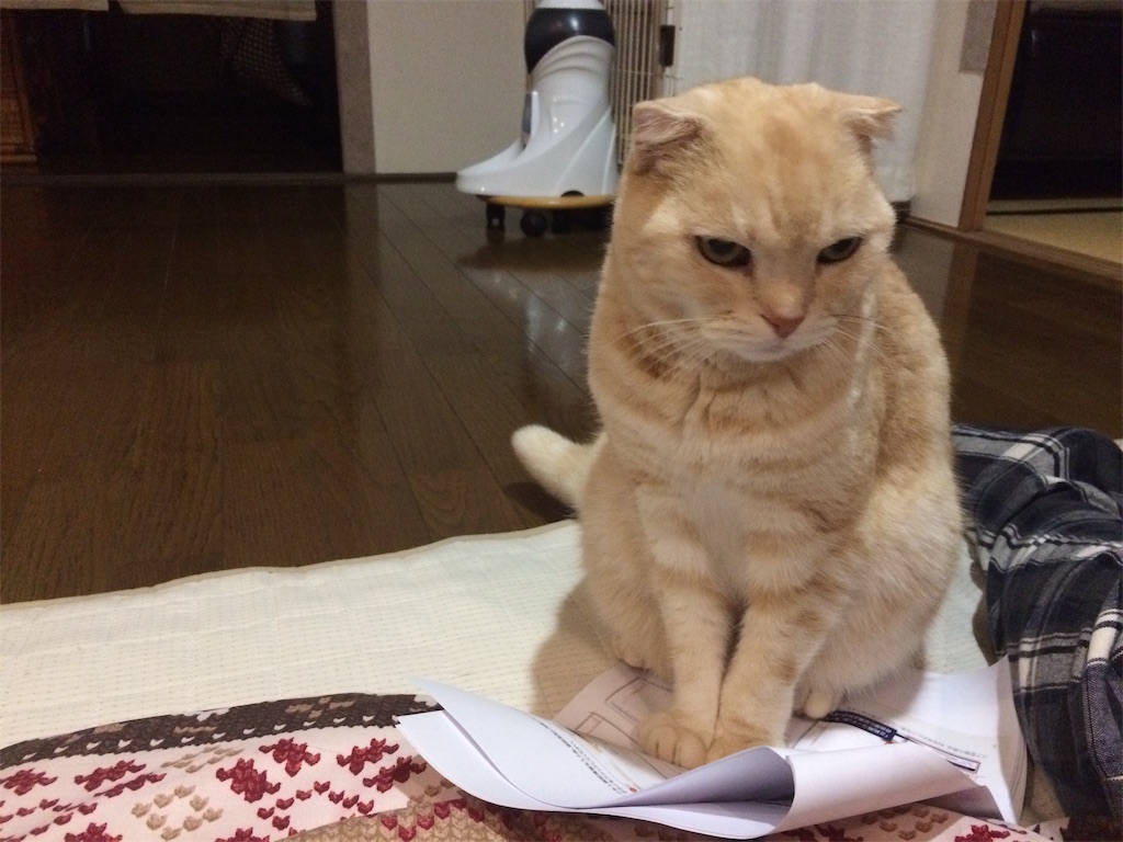 f:id:yutosuna:20191216054951j:image f:id:yutosuna:20191216054951j:image