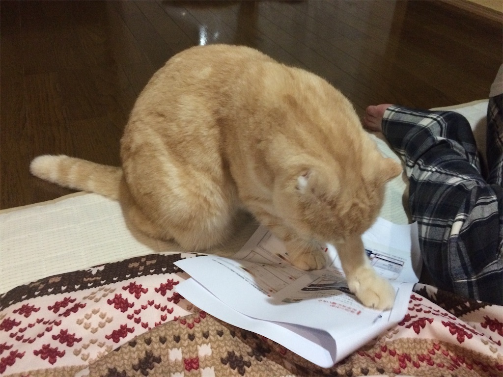 f:id:yutosuna:20191216055004j:image f:id:yutosuna:20191216055004j:image