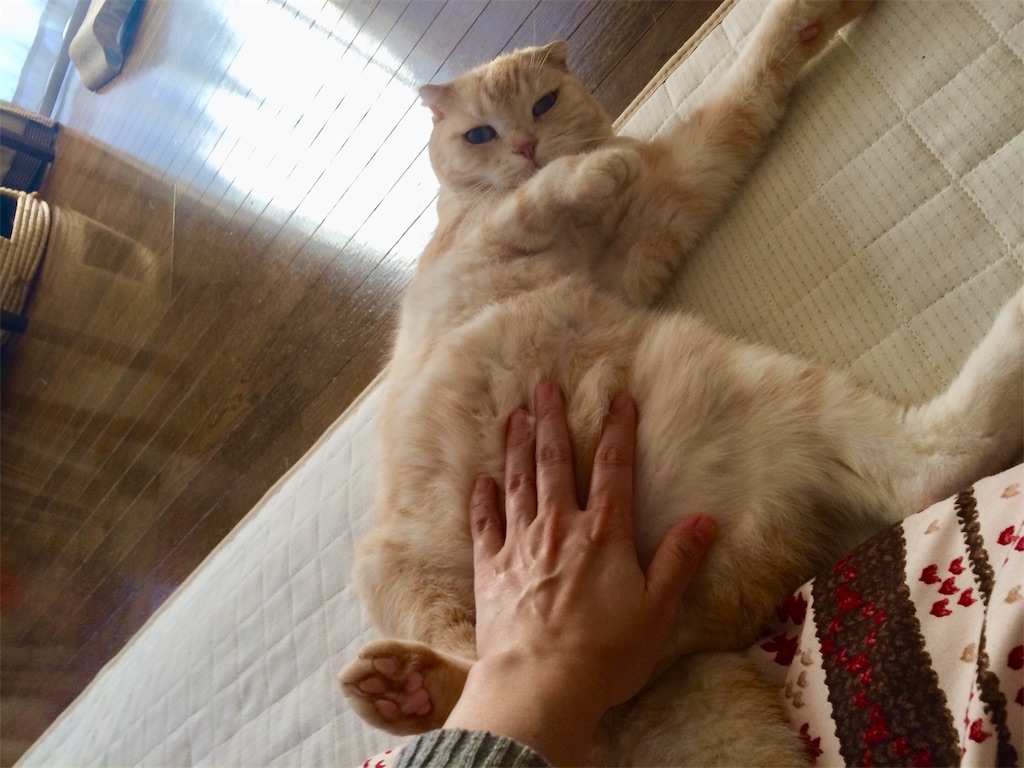 f:id:yutosuna:20191223081131j:image f:id:yutosuna:20191223081131j:image
