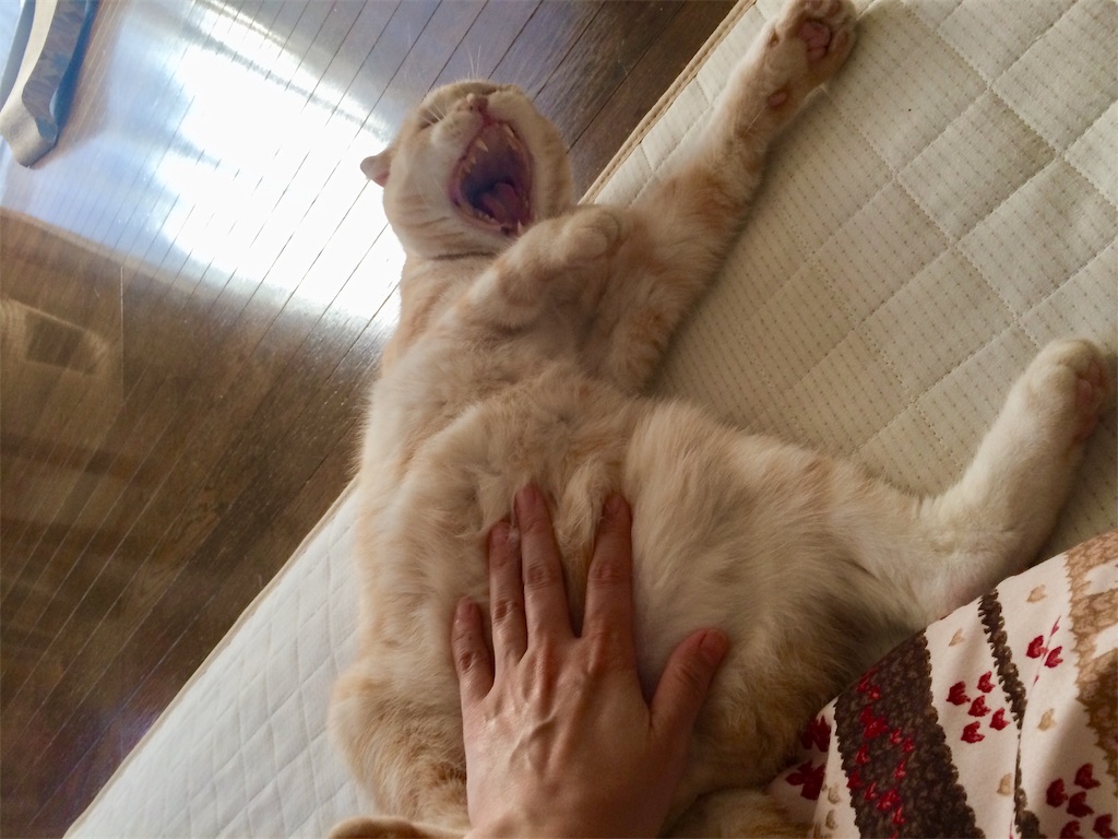 f:id:yutosuna:20191223081137j:image f:id:yutosuna:20191223081137j:image
