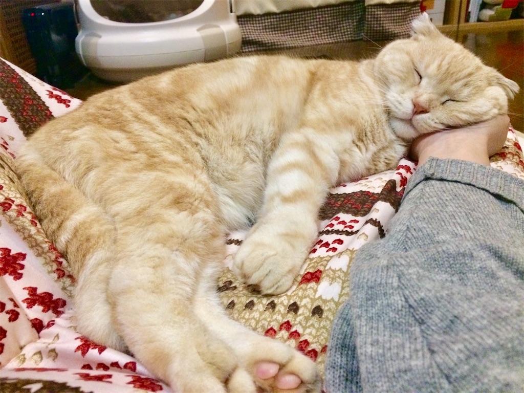f:id:yutosuna:20191229085704j:image f:id:yutosuna:20191229085704j:image
