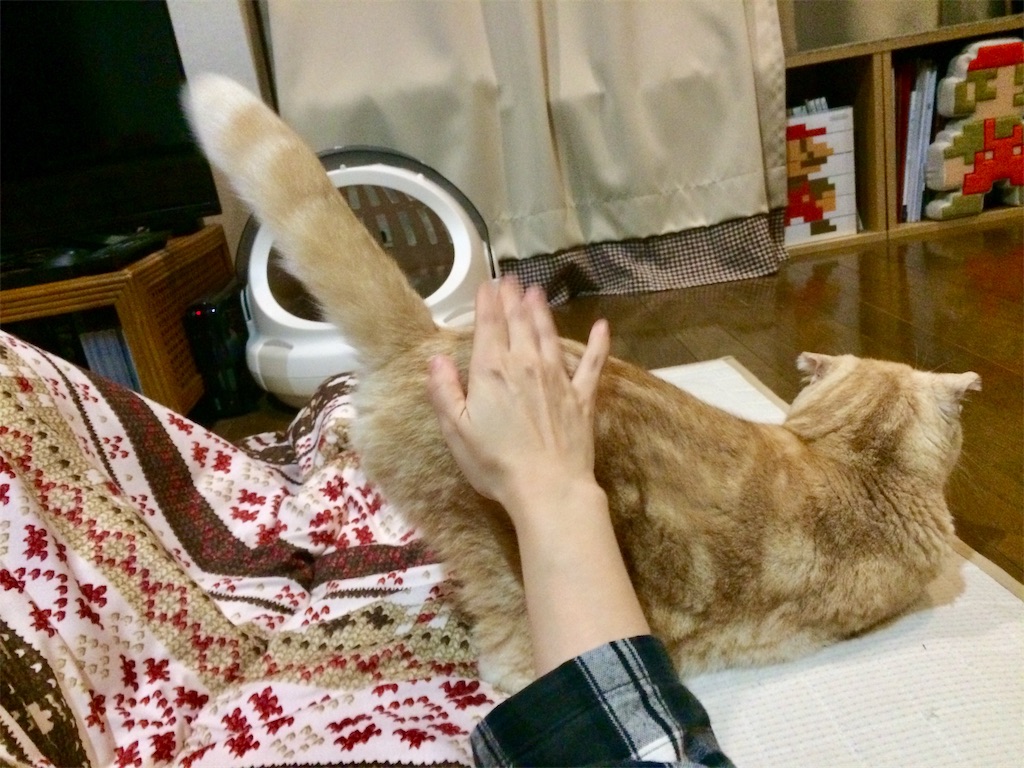 f:id:yutosuna:20200117074649j:image f:id:yutosuna:20200117074649j:image