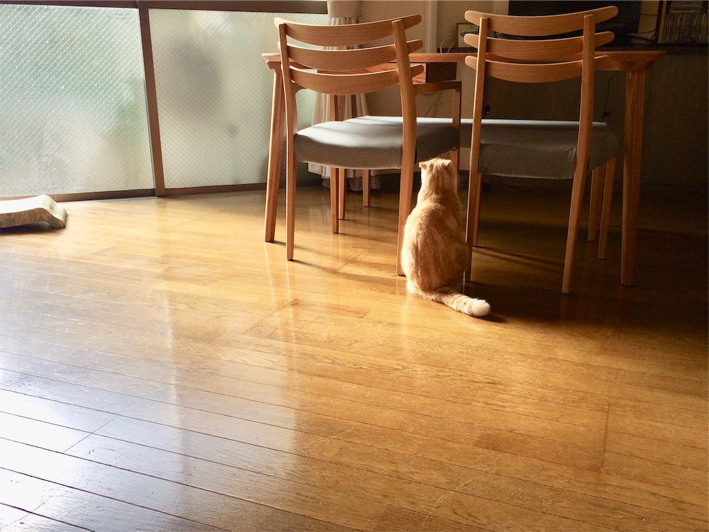 f:id:yutosuna:20200120072529j:image