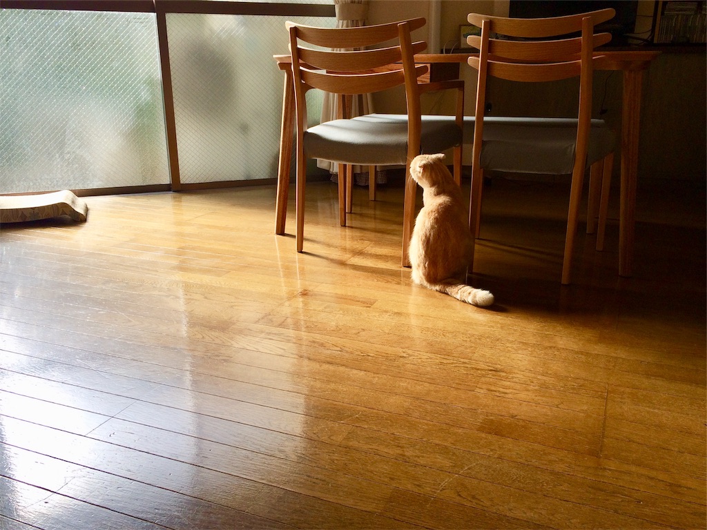 f:id:yutosuna:20200120072533j:image
