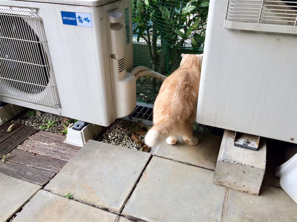 f:id:yutosuna:20200416070508j:image