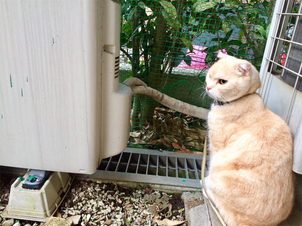 f:id:yutosuna:20211101062704j:image