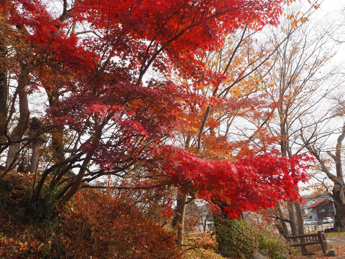 f:id:yutrou:20201123101641j:plain