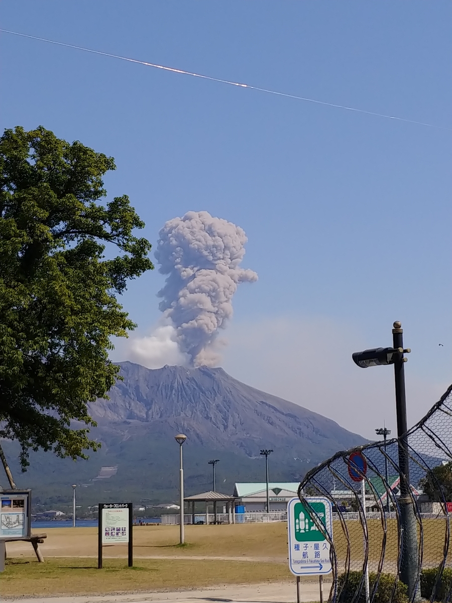 f:id:yuttan2679:20190408105909j:plain
