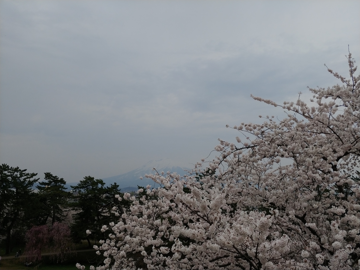 f:id:yuttan2679:20190426205158j:plain