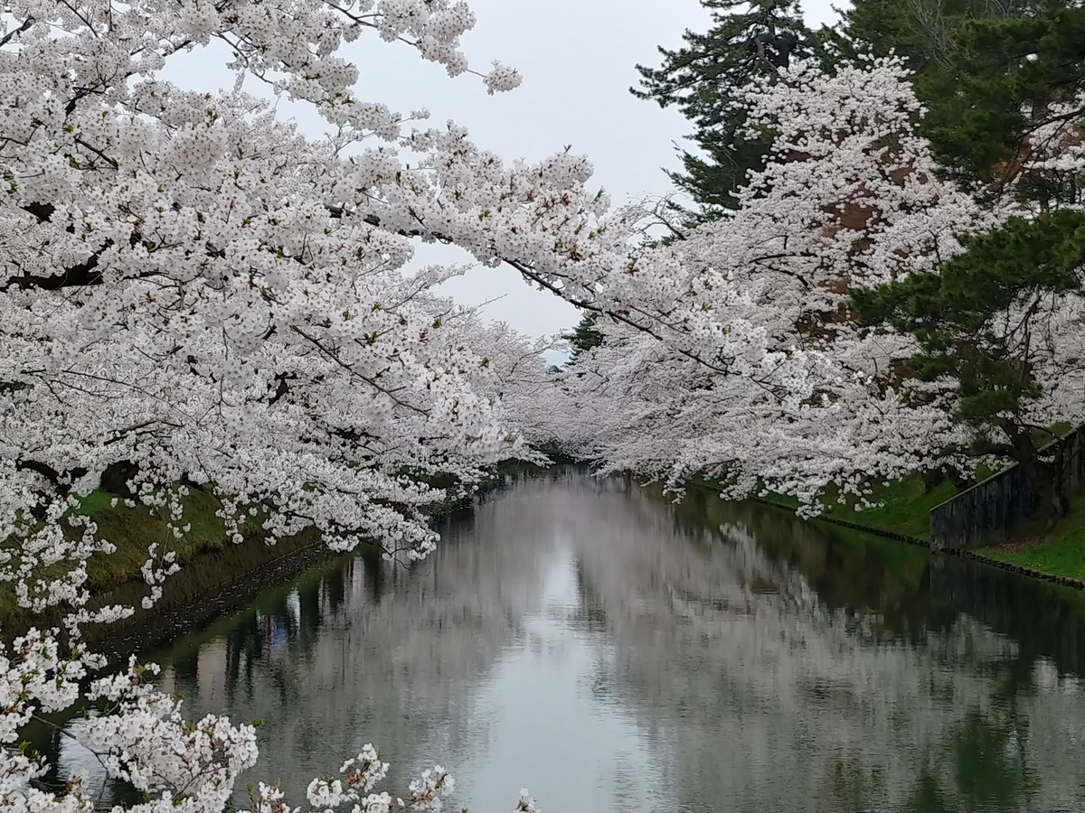 f:id:yuttan2679:20190426210443j:plain