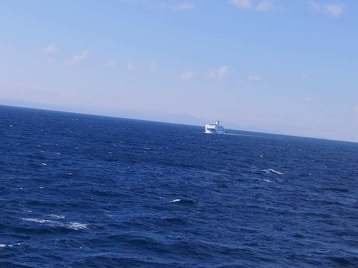 f:id:yuttan2679:20190428140451j:plain